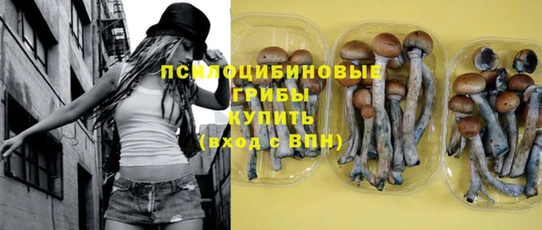 крисы Абинск